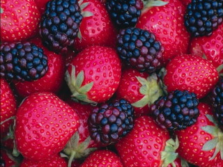 Fresh berries green leaves red - a red frame free wallpaper