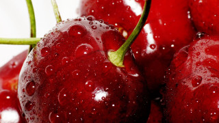 Cherry water droplets macro photorealism - cherry free wallpaper