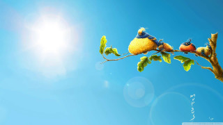Two birds branch leaves blue - two bird free wallpaper for desktop