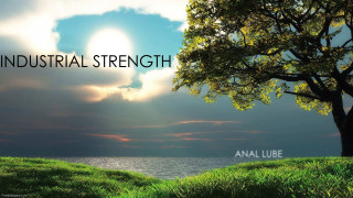 Tree sunset sky love strength - the world free wallpaper for desktop