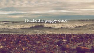 Beach quote kicked puppy once - a picture of a beach free wallpaper