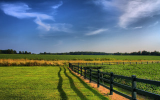 Shadows fence grass crops sunny - a sunny day free wallpaper