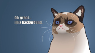 Sad cat quote image png - a quote above free wallpaper