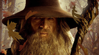 Man long beard hat leaves - weta digital free wallpaper for desktop