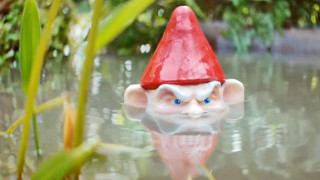 Small red gnome water red - a red hat free wallpaper