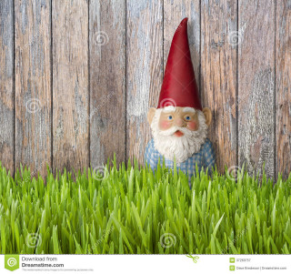 Gnome red hat grass fence - grass free wallpaper for tablet