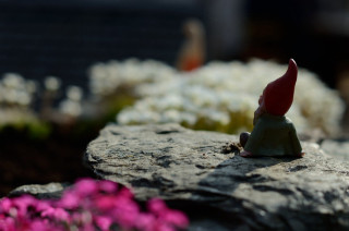 Gnome figurine sitting rock garden - brian and wendy froud free wallpaper