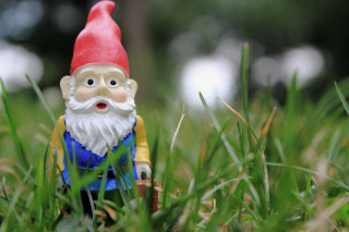 Gnome figurine grass sunny day - sunny free wallpaper