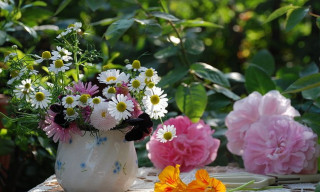 Vase of flowers garden table - the table free wallpaper
