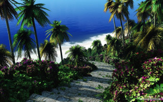 Beach steps palm trees flowers - the side of the road next free wallpaper