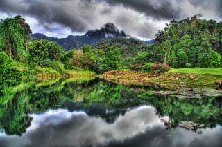 Lake trees mountain clouds foreground 2 - tree and a mountain in the background free wallpaper