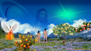 Man fruit trees angels blue - david rudnick free wallpaper