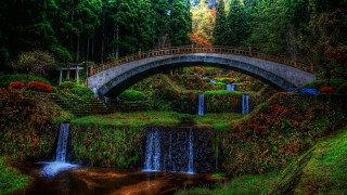 Bridge waterfall forest nature scenery - choi buk free wallpaper