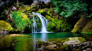 Waterfall forest mossy rocks trees 12 - the center free wallpaper
