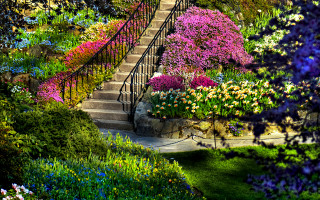 Garden staircase flowers surrounding ground - a garden free wallpaper
