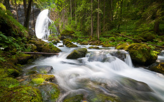Waterfall forest mossy rocks trees - fallen free wallpaper for desktop