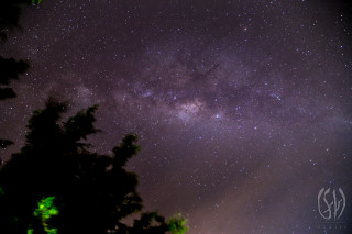Night sky stars tree clouds - a few star free wallpaper