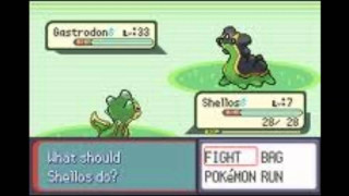 Frog video game screen field - pokemon free wallpaper