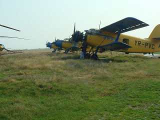 Yellow blue planes parked field - dieselpunk free wallpaper