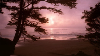 Sunset beach trees water island - a sunset view of a beach free wallpaper