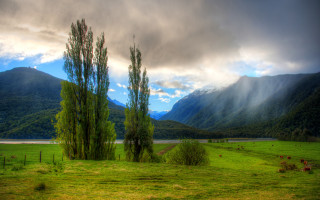 Grassy field trees mountains cloudy - stormy weather free wallpaper