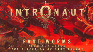 Birds flying red background painting - album cover free wallpaper for desktop