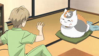 Person cat mat bookcase brownhair - a mat free wallpaper