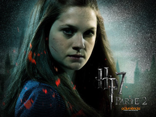 Woman harrypotterposter darkred splatters catrin - catrin g grosse free wallpaper