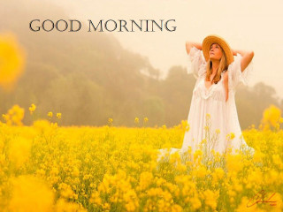 Woman field yellow flowers hat - a hat free wallpaper