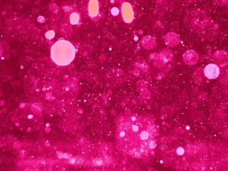 Red bubbles pink background astronaut - gutai group free wallpaper for desktop