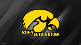 Iowa hawks logo black yellow - bird free wallpaper for desktop