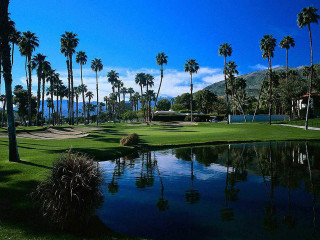 Golf course palm trees pond - a golf course free wallpaper