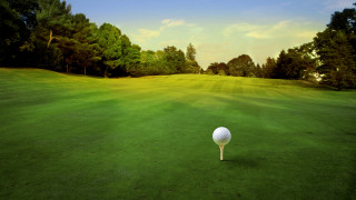 Golf ball tee green course - a golf ball free wallpaper