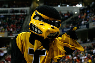 Mascot yellow black outfit nose - gritty free wallpaper