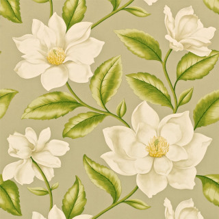 White flower green leaves gray - a green border free wallpaper
