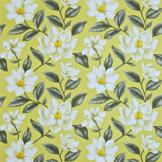 Yellow background white flowers green - painting free wallpaper