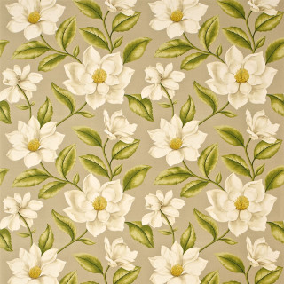 White flower beige background green - a beige background free wallpaper