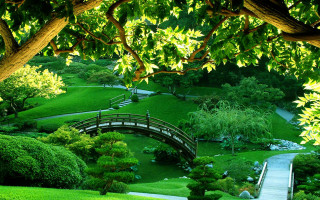Bridge pond park lush green 2 - a lush green park free wallpaper