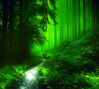 Lush forest stream trees ferns - free forest wallpaper for tablet