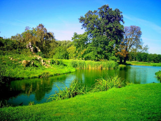 River park field trees sunny - beautiful landscape free wallpaper for desktop