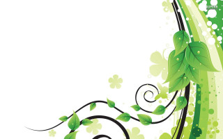 Green white background leaves swirls - charles mcauley free wallpaper for desktop
