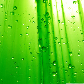 Green wall water drops white - free rain wallpaper for tablet
