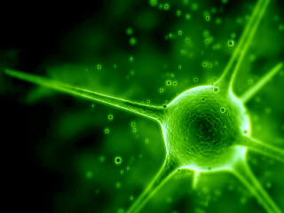 Green cell bio punk microscopic - biopunk free wallpaper for desktop