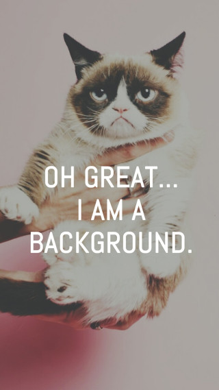Grumpy cat hand background caption - free cats wallpaper for mobile