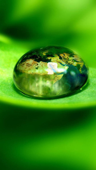 Water drop green leaf drops - free nature wallpaper for mobile