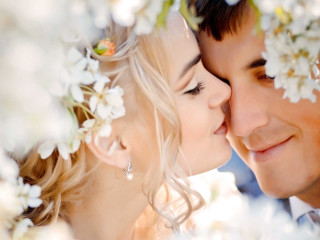 Man woman kissing flower tree - a park setting free wallpaper for desktop
