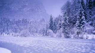 Snowy landscape trees river mountain - a snowy landscape free wallpaper