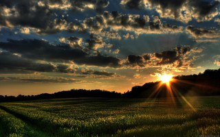 Field sunset clouds sky background 3 - crepuscular free wallpaper for desktop