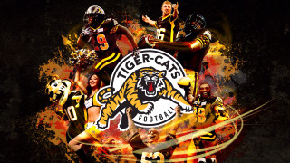 Football players tiger front tiger - a group of football players free wallpaper