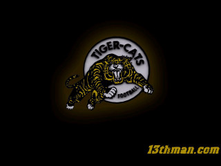 Tiger running dark background tiger - the dark background free wallpaper
